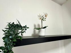 Eastpoint Green (D18), Condominium #498100431